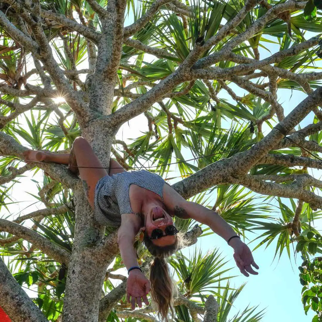 hostel volunteer playing upside down in a tree