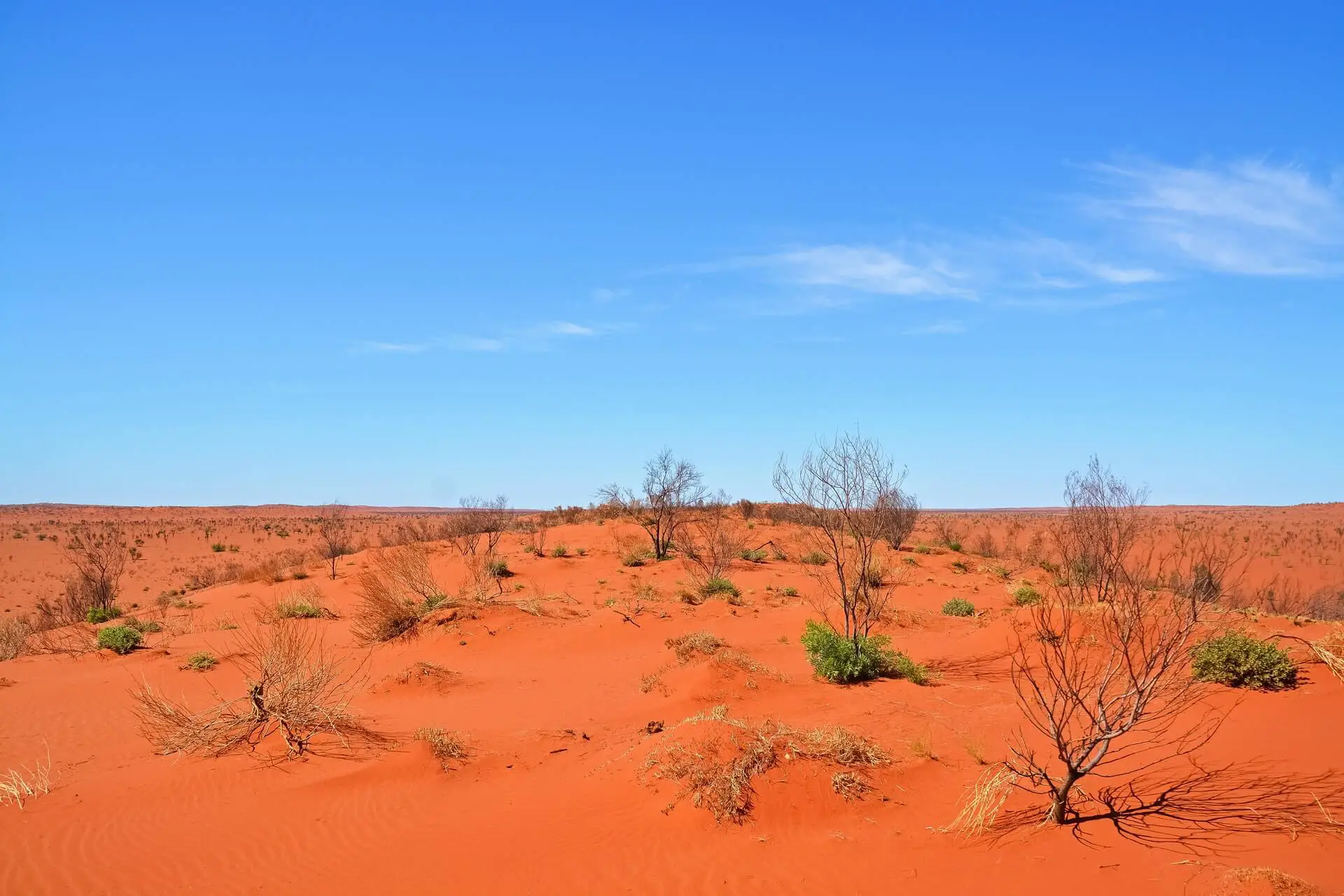 A burnt orange desert in Australia's centre.