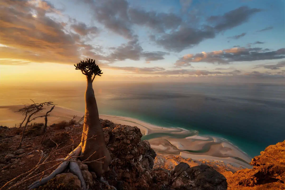 socotra island beach view one of the best places to travel in the world